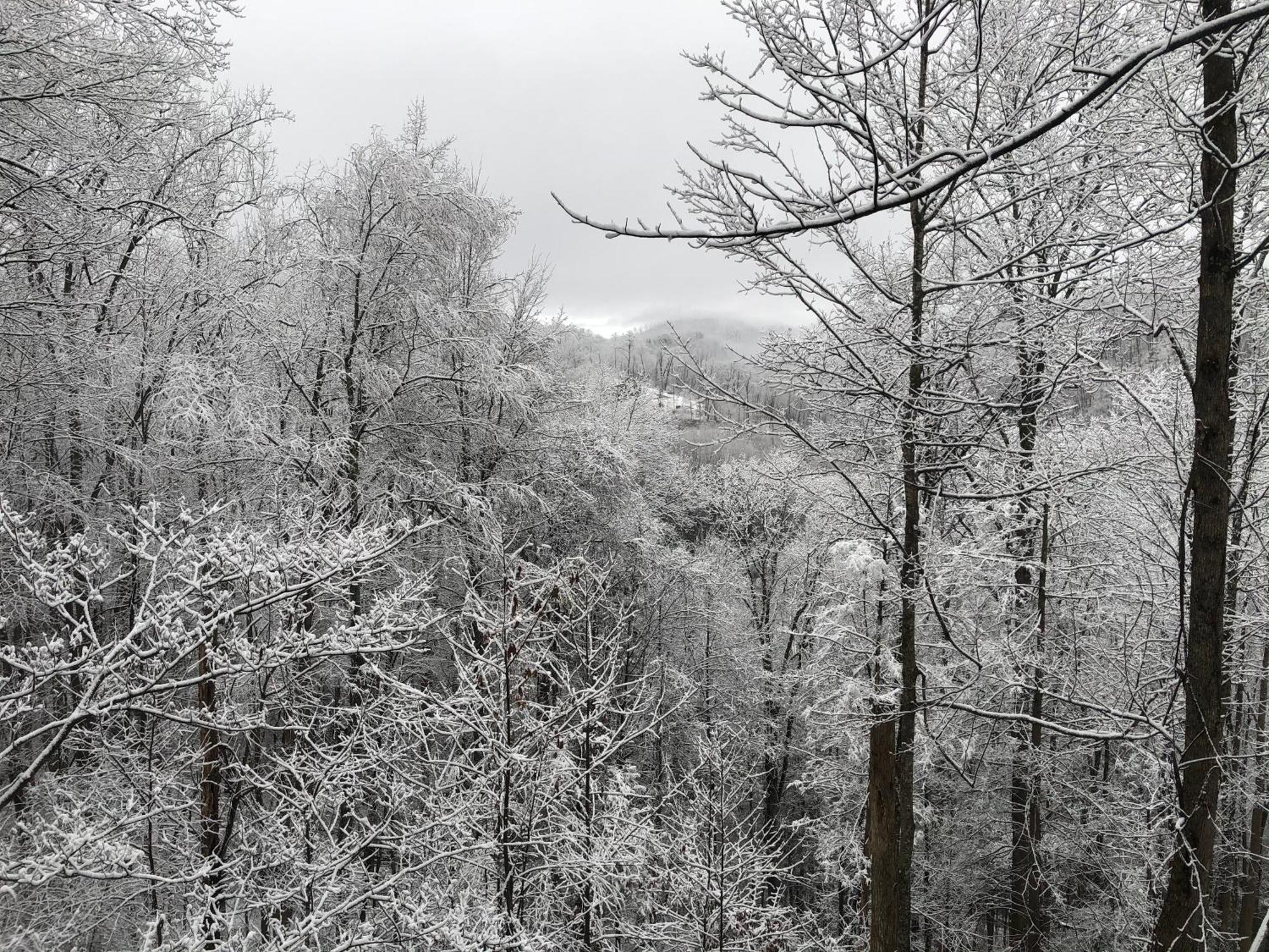 Black Bear Cove Gatlinburg Exterior photo